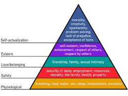 heirachy of needs